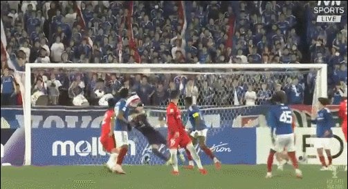 双响.gif
